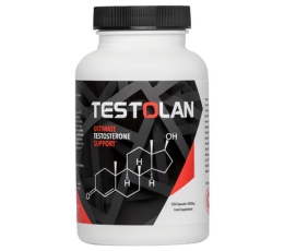 Testosterone